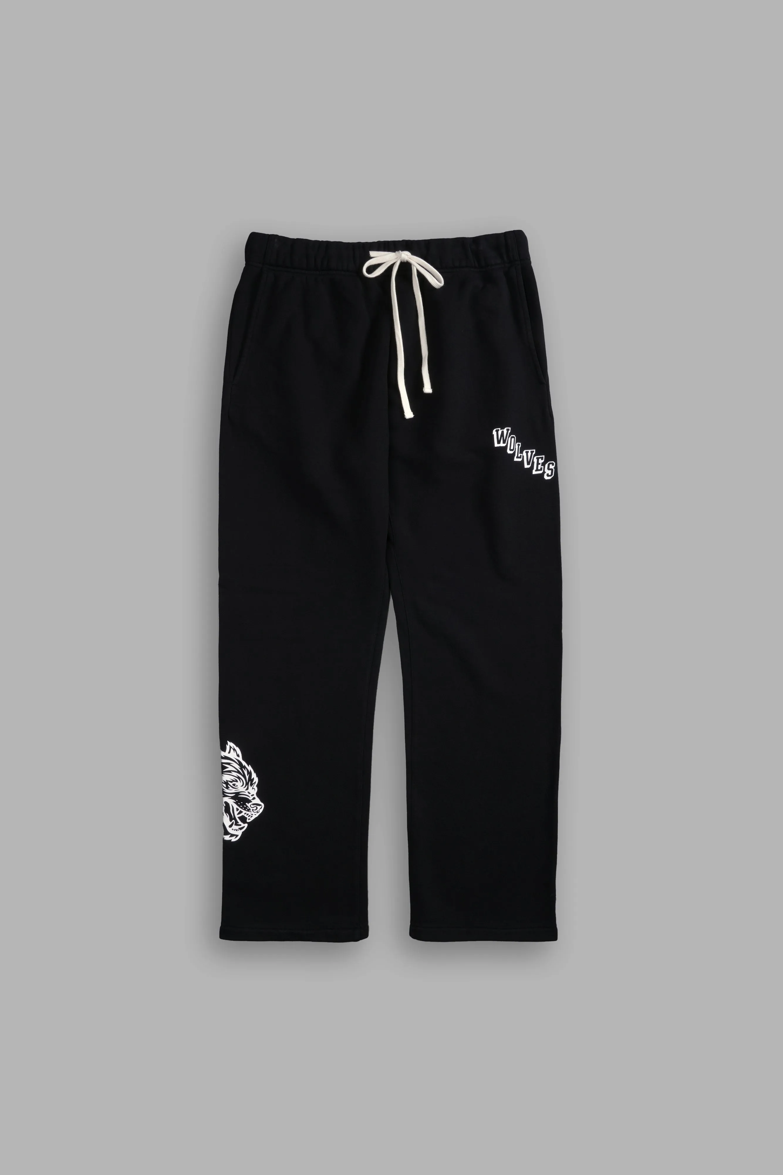 Journey Bigelow Sweat Pants in Black